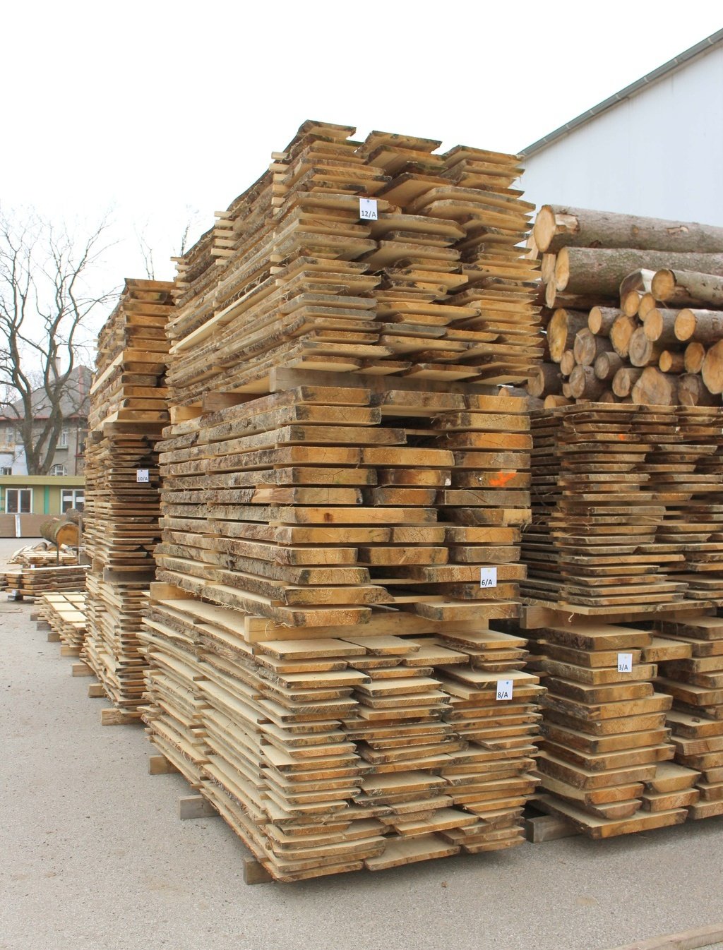 výběrové dřevo 8